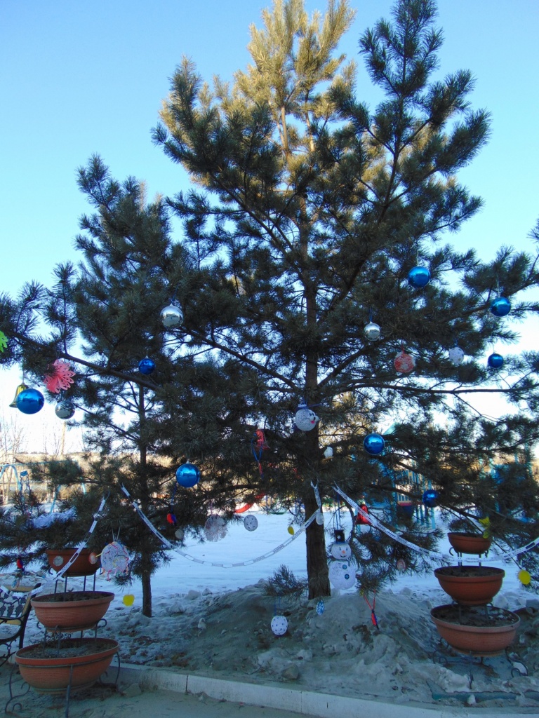image003.jpg