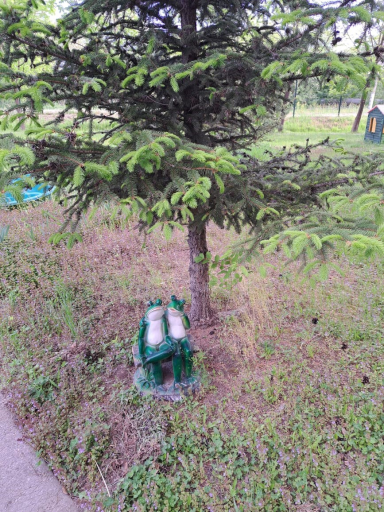 19.jpg